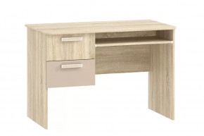 Стол для компьютера НМ 009.19-05 М2 Акварель в Ноябрьске - noyabrsk.mebel-tymen.ru | фото