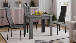 Стол обеденный «Промо» тип 1 Серый графит в Ноябрьске - noyabrsk.mebel-tymen.ru | фото