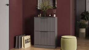 Тумба для обуви «Хилтон» Исп.2 Серый графит, Графит матовый в Ноябрьске - noyabrsk.mebel-tymen.ru | фото