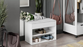 Тумба для обуви «Лайт» Тип 1 Белый глянец в Ноябрьске - noyabrsk.mebel-tymen.ru | фото