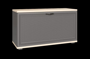 Тумба для обуви ТБ-1041 Карина в Ноябрьске - noyabrsk.mebel-tymen.ru | фото