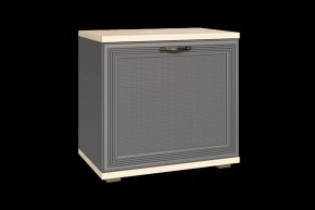 Тумба для обуви ТБ-1042 Карина в Ноябрьске - noyabrsk.mebel-tymen.ru | фото