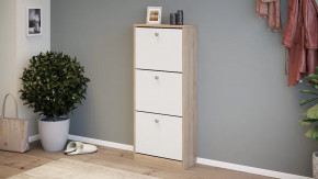 Тумба для обуви «Тетра» Тип 1 Исп. 2 в Ноябрьске - noyabrsk.mebel-tymen.ru | фото