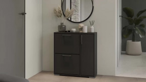 Тумба для обуви Тип 15 Антрацит в Ноябрьске - noyabrsk.mebel-tymen.ru | фото