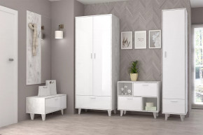 ЭГО Прихожая №ББ-1 Диал в Ноябрьске - noyabrsk.mebel-tymen.ru | фото