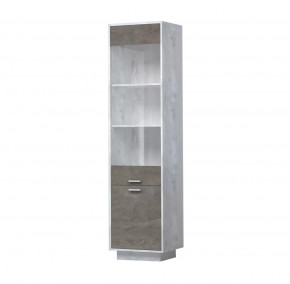 ЭГО ПС-1 Пенал с 2 дверьми 500 мм Диал в Ноябрьске - noyabrsk.mebel-tymen.ru | фото