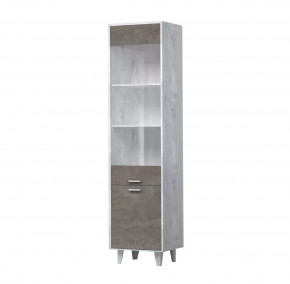 ЭГО ПС-1 Пенал с 2 дверьми Диал в Ноябрьске - noyabrsk.mebel-tymen.ru | фото